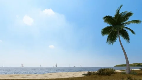 Beach palm trees Stock Footage 297695096