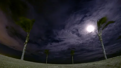 Beach Palm Trees at Night Time-lapse Stock Footage 58973718