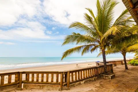 Beach with palm trees Stock Photos