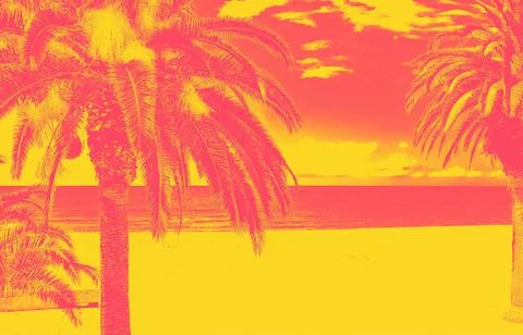 Beach with palm trees 스톡 사진