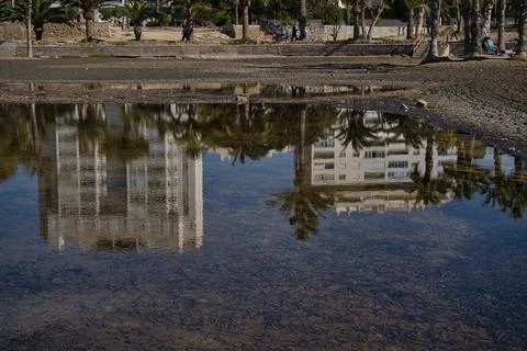 Beach with palm trees, reflections and shadows, located in Alicante, Spain. Stock Photos