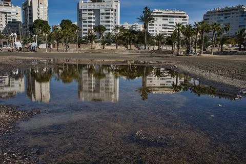 Beach with palm trees, reflections and shadows, located in Alicante, Spain. Stock Photos