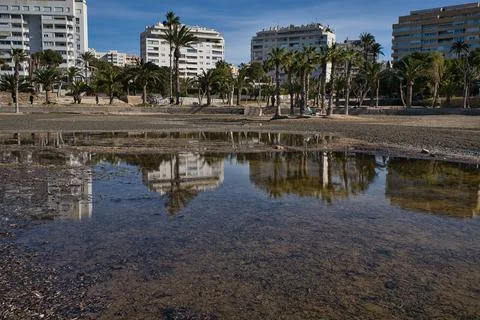 Beach with palm trees, reflections and shadows, located in Alicante, Spain. Stock Photos