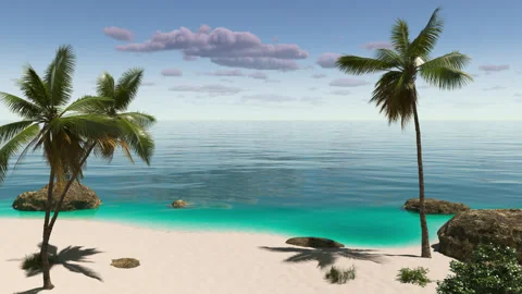 Beach with palm trees on the seashore Stock Footage 280027972