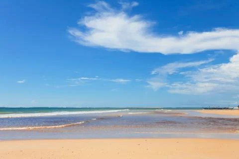 Beach with palms Stock Photos
