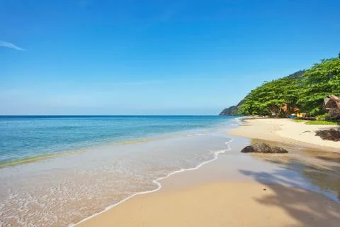 Beach with palms Stock Photos