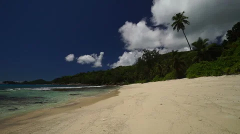 Beach with palmtree Stock Footage 45557964