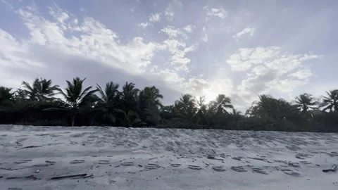 Beach, Palmtrees Vidéo 254640545