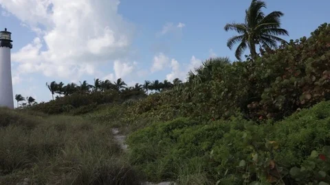 Beach Pan Video stock 83970607