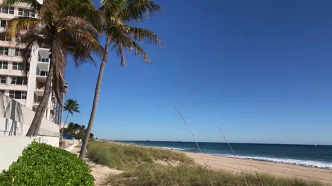 Beach Pan with Palm Trees 스톡 동영상 293179891