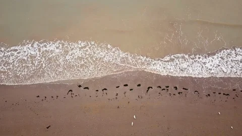BEACH PAN R-L Stock Footage 93675447