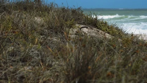 BEACH PAN THEN RACK FOCUS GRADED Stock Footage 87460469