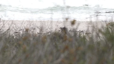 BEACH PANNING Stock Footage 87227674