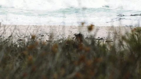 BEACH PANNING GRADED Stock Footage 87460426