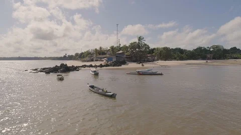 Beach in Pará River in the amazon Stock Footage 113467422