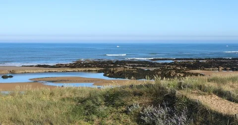 Beach of Paracou at low tide Stock Footage 109445342