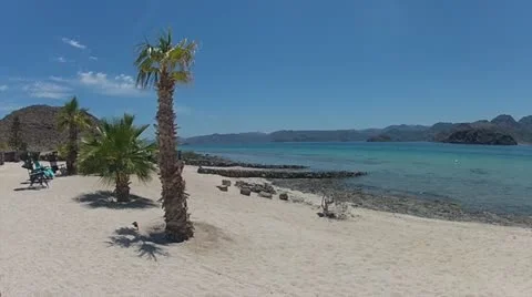 Beach Paradise 스톡 동영상 22105337