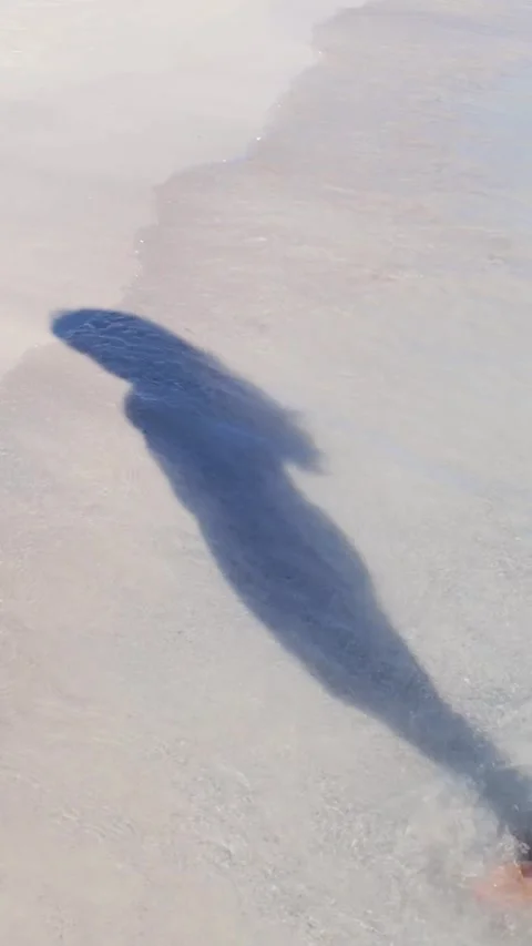 Beach Paradise Stock Footage 276744995