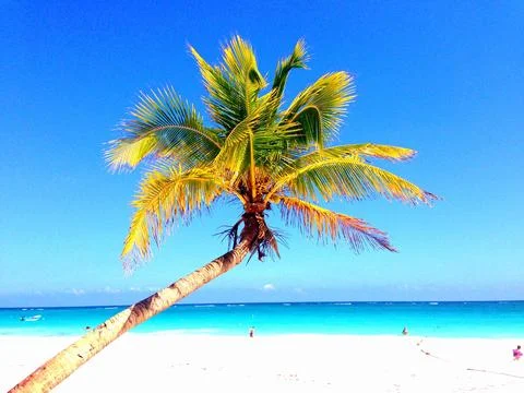 Beach paradise 库存照片