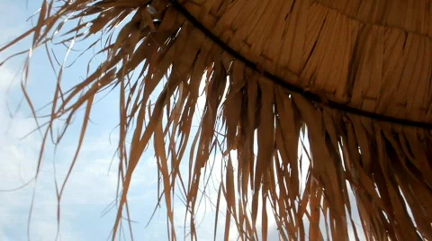 Beach parasol Stock Footage 509093