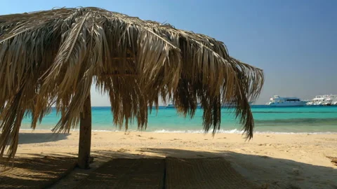 Beach parasol made of palm tree leaves Stock Footage 137589147