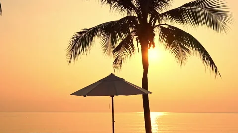 Beach Parasol under the Palm tree during orange color sunset over the sea, Stock Footage 148707857