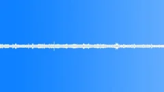 Beach Park Ambience Birds ChirpingSound Effect