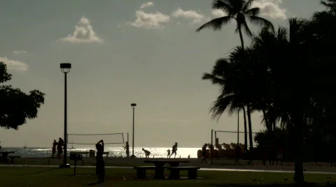 Beach park Stock Footage 604654