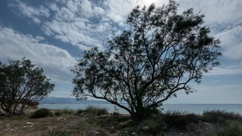 Beach in paros greece Stock Footage 244380142