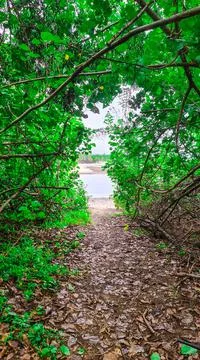 Beach Path at Balgal Beach Stock Photos