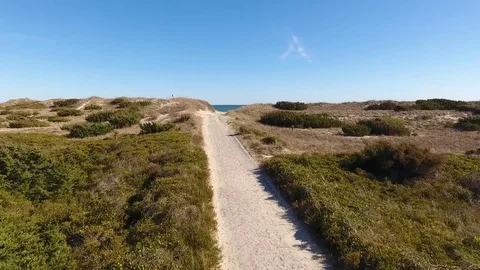 Beach Path Stock Footage 77550956