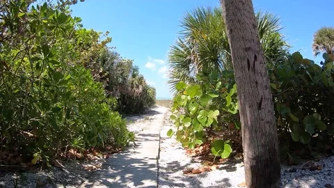 Beach path to the Gulf Stock Footage 105746644