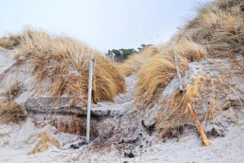 Beach path leading through sand dunes. earth erosion Foto stock