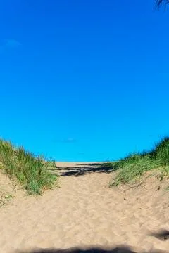 Beach path at noon Stock Photos