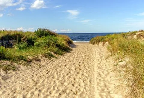 Beach Path Stock Photos