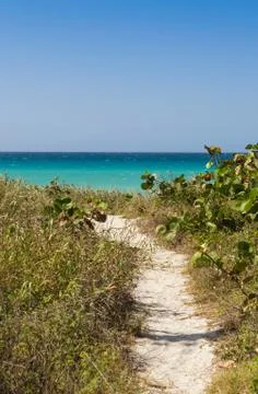 Beach path Stock Photos