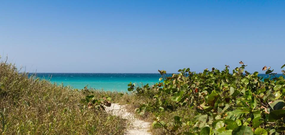 Beach path Stock Photos