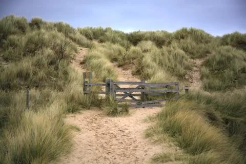 Beach path Stock Photos
