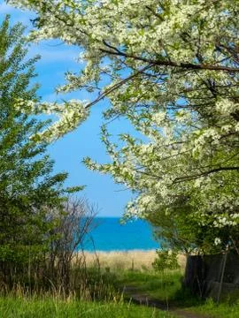 A beach Path Stock Photos