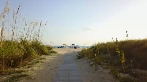 Beach path to the shoreline Stock Footage 95428010