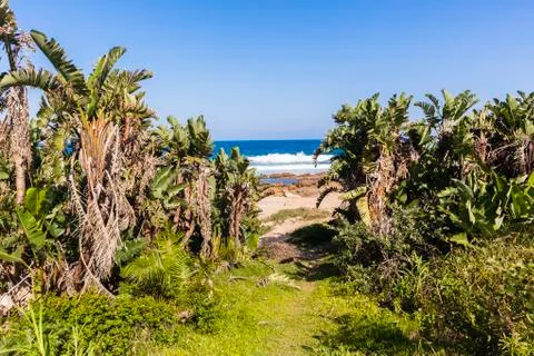 Beach Pathway Ocean Stock Photos