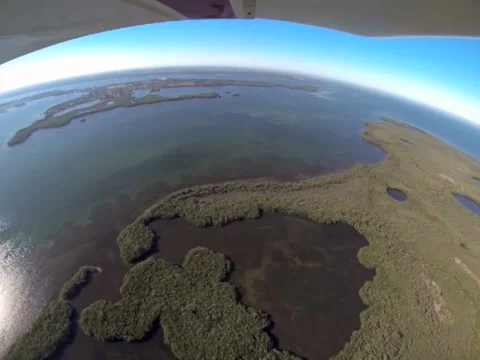 Beach Patrol #2 스톡 동영상 34471321