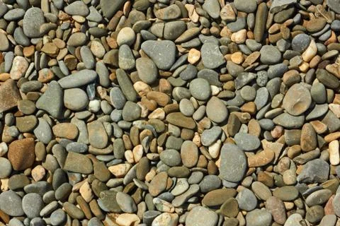 Beach pebble close up Stock Photos