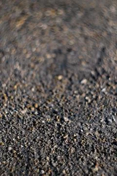 Beach pebble sprout through background gray texture Abstraction Stock Photos