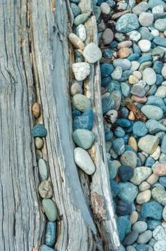 Beach pebbles and driftwood log, British Columbia, Canada. Stock Photos