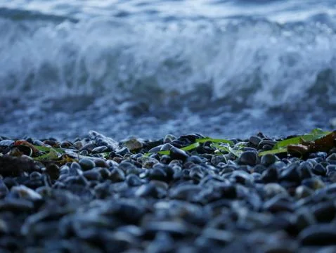 Beach Pebbles - Mid Focus Stock Photos