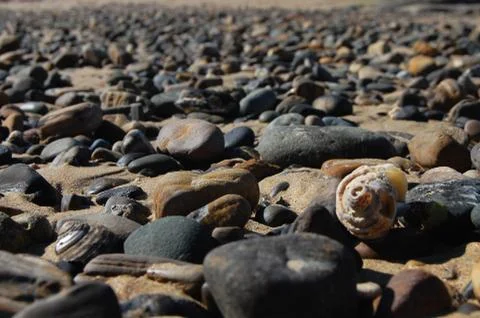 Beach Pebbles Stock Photos