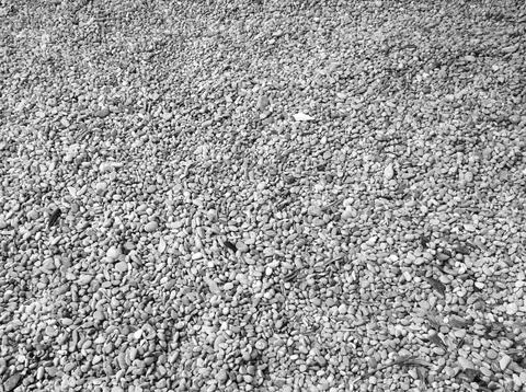 Beach pebbles, top view. Background from concreted pebble stones.. Stock Photos