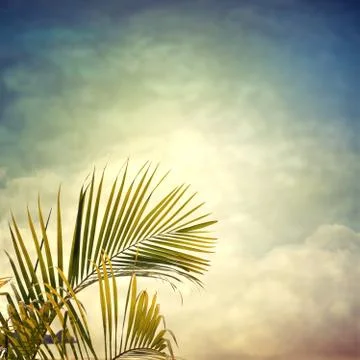 Beach Stock Photos