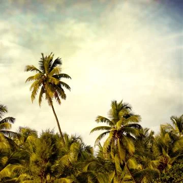 Beach Stock Photos